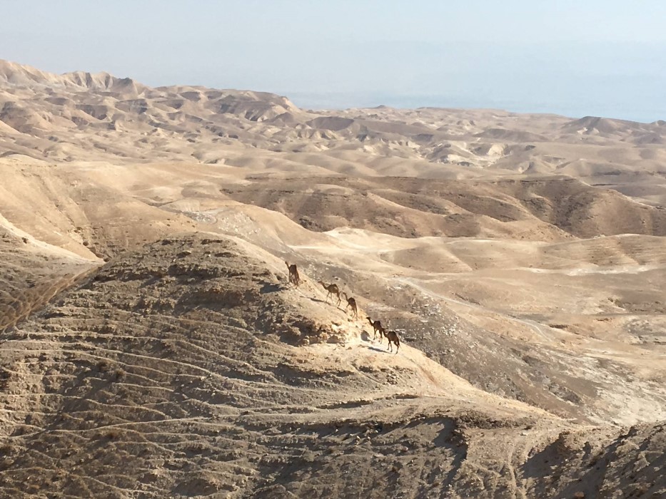 רוחות מזרחיות- מסלולי טיול בצפון מדבר יהודה