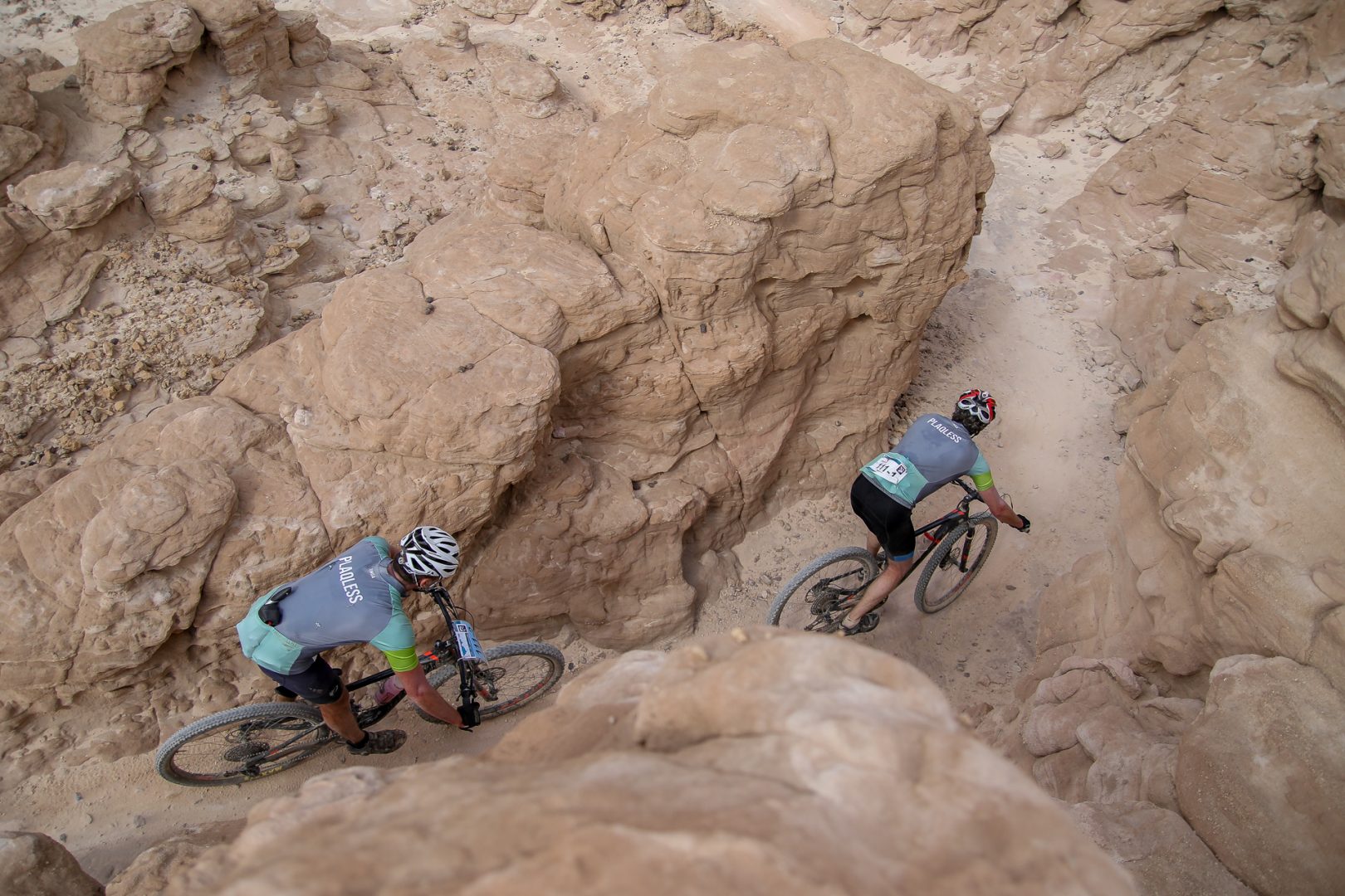 סמרתון 2020- סיכום יום התחרות האחרון