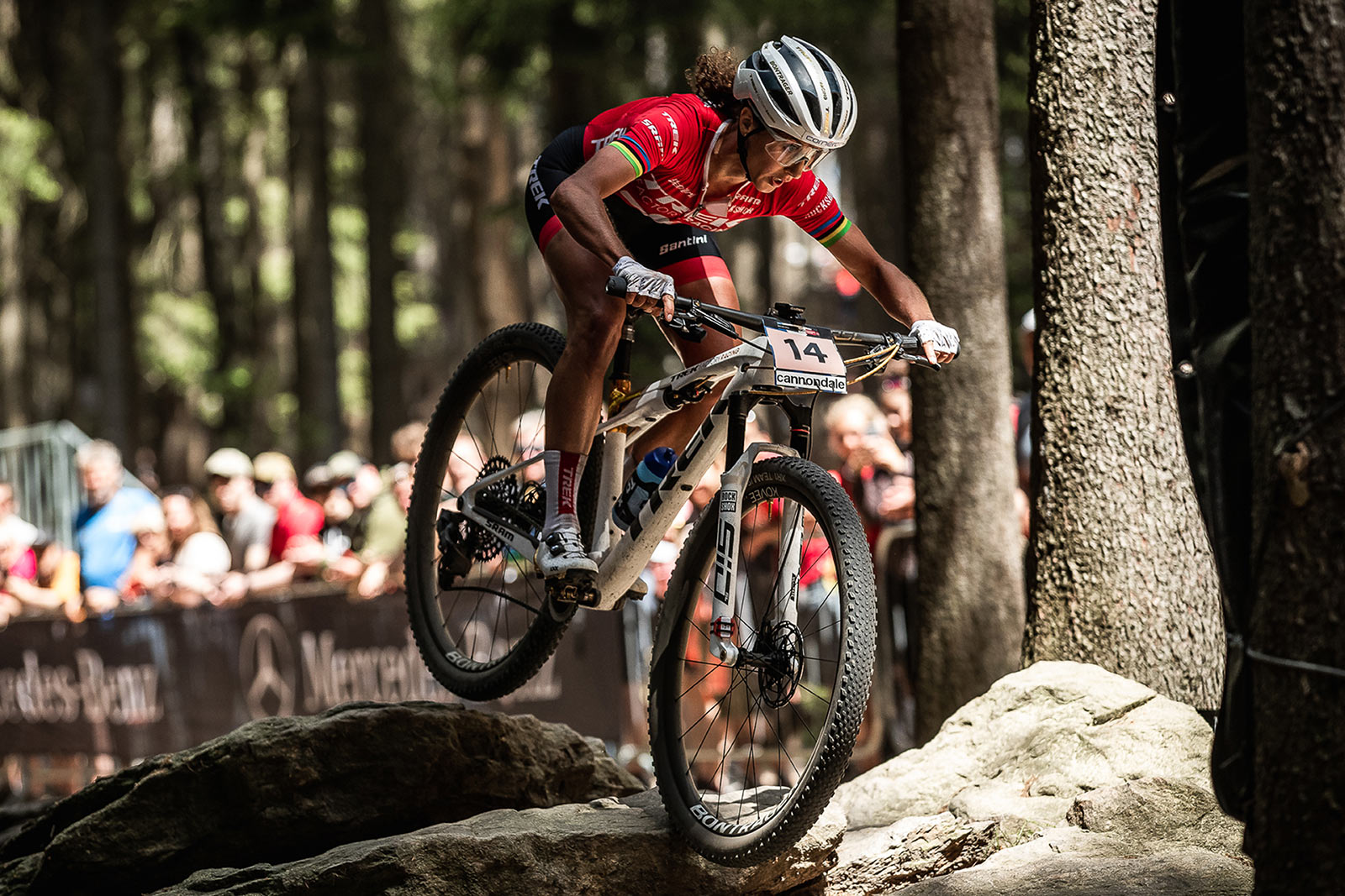 חדשות: טרק משיקה גלגלי Kovee חדשים, חזקים, וקלים במיוחד.