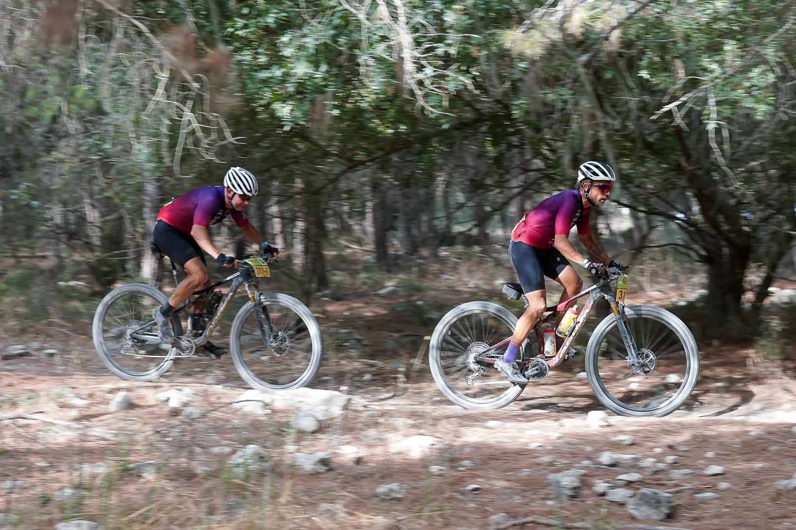 ברא אפיק ישראל 2022 בשיתוף קק"ל- סיכום סטייג' 1