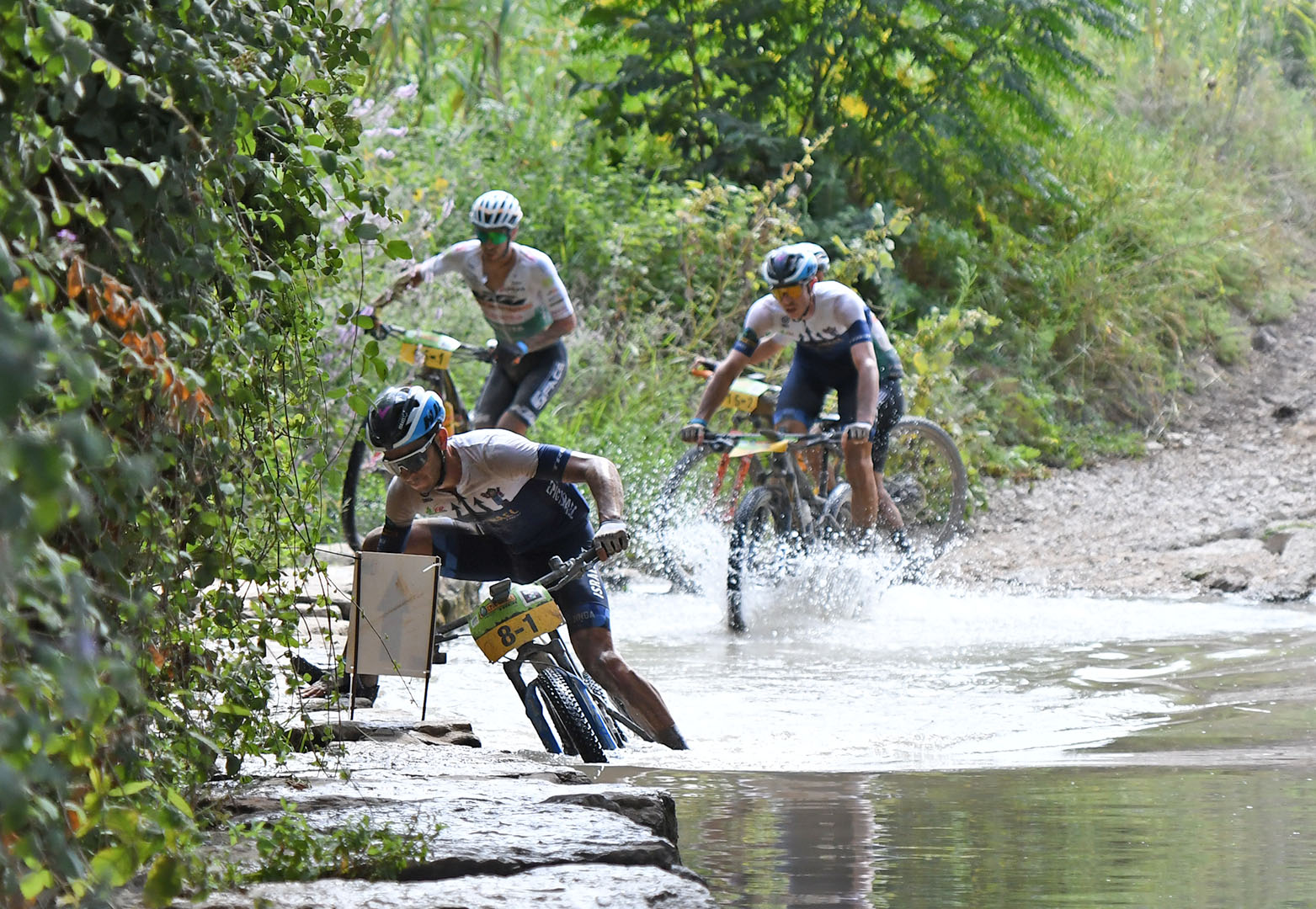 ברא אפיק ישראל 2022 בשיתוף קק"ל- סיכום סטייג' 1