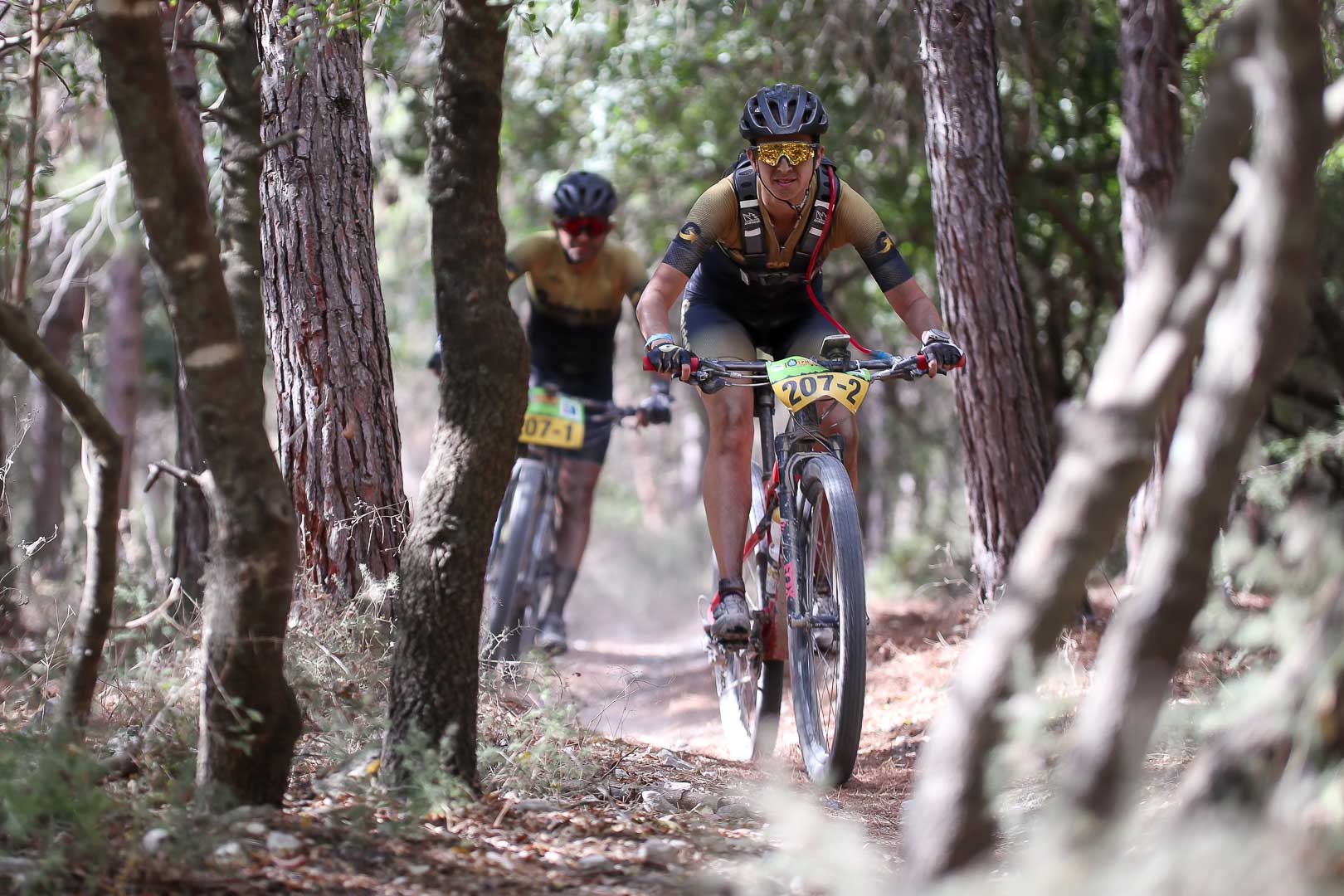 ברא אפיק ישראל 2022 בשיתוף קק"ל- סיכום סטייג' 1