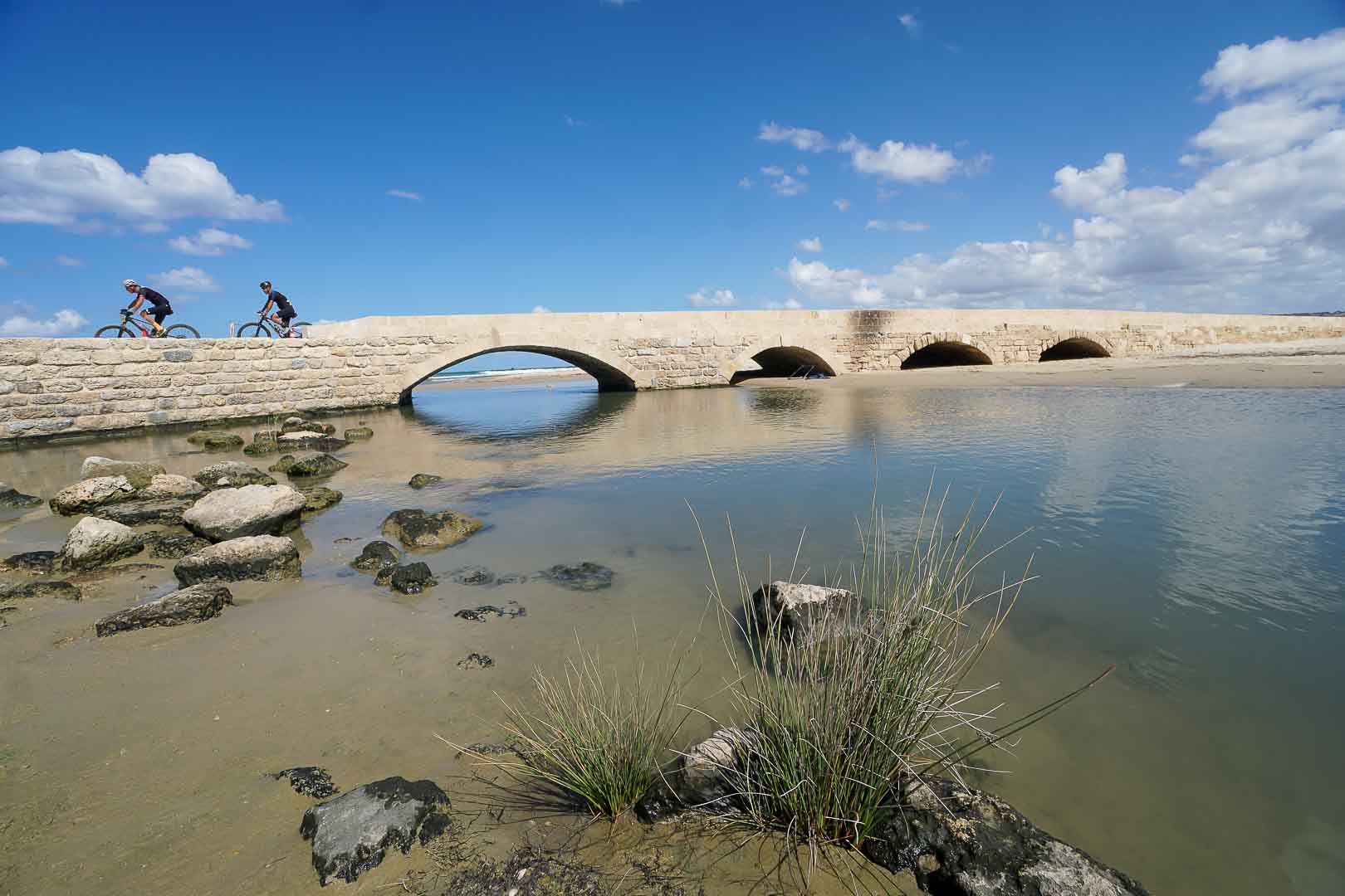 ברא אפיק ישראל 2022 בשיתוף קק"ל- סיכום סטייג' הפרולוג